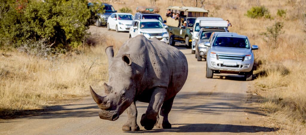 Baanbrekende ontwikkeling voor verantwoord toerisme Zuid-Afrika