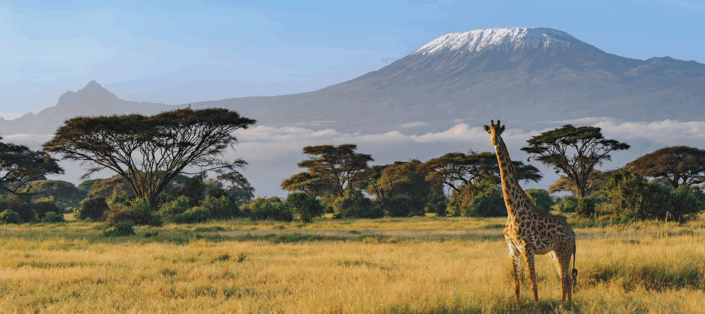 Brussels Airlines voegt Kilimanjaro in Tanzania toe